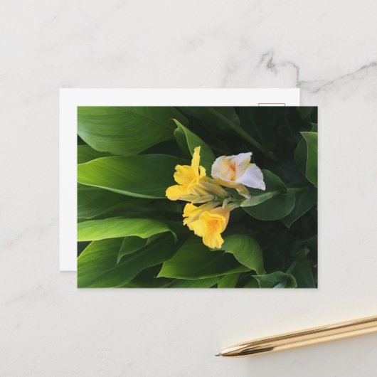 Flower Delivery ポストカード (正面/裏面インサイチュ)