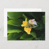 Flower Delivery ポストカード (正面/裏面)