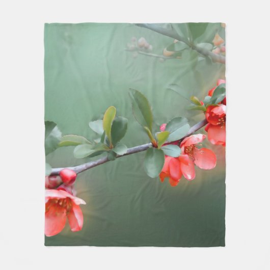 Flower flowers quince bush spring フリースブランケット (正面)