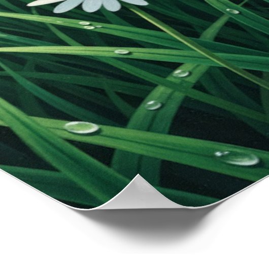 Flower in the Sun Wall Art ポスター (角)