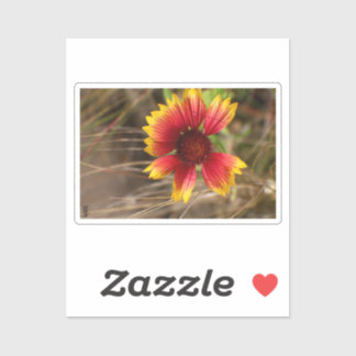 Flower in the Wind シール