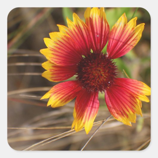 Flower in the Wind スクエアシール (正面)