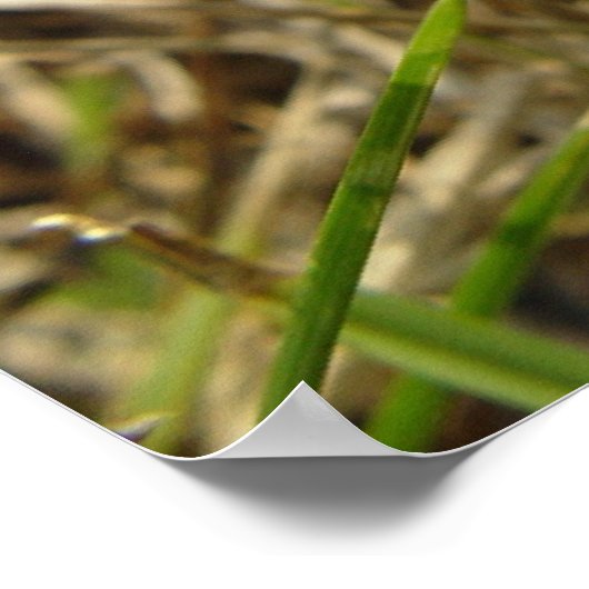 Flower - New Creation ポスター (角)