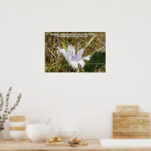 Flower - New Creation ポスター (キッチン)