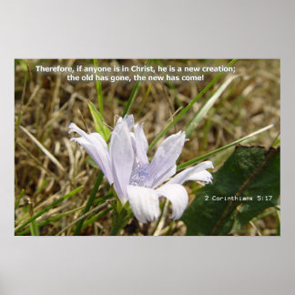 Flower - New Creation ポスター