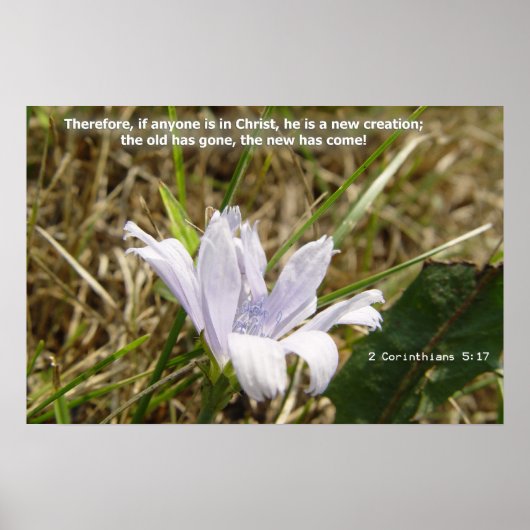 Flower - New Creation ポスター (正面)