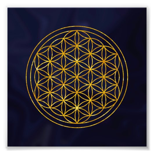 flower of life フォトプリント            (正面)