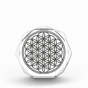 FLOWER OF LIFE – 聖幾何学シンボル概要1 フォトブロック