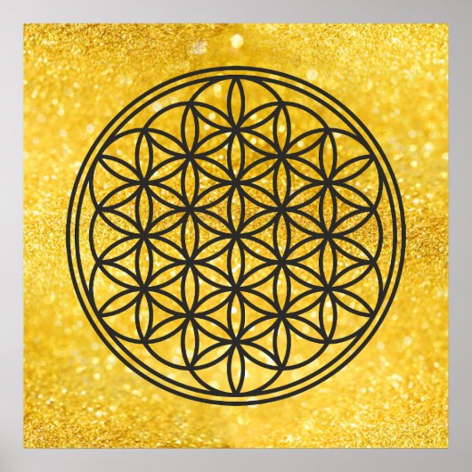 FLOWER OF LIFE – 聖幾何学シンボル概要1 ポスター (正面)