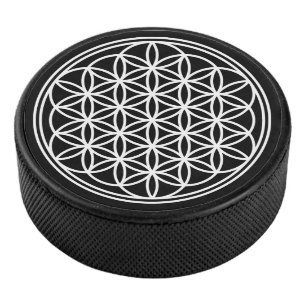 FLOWER OF LIFE – 聖幾何学シンボル概要2 アイスホッケーパック