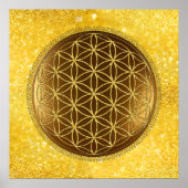 FLOWER OF LIFE – 聖幾何学メデイロン1 ポスター (正面)