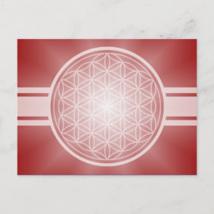 Flower of Life / Blume des Lebens – 白い透明。 ポストカード