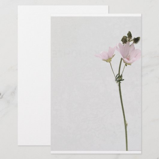 flower paper 便箋 (正面/裏面)