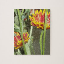 Flower Photo From Visit