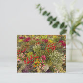 Flower Power - 10 ポストカード (スタンド正面)