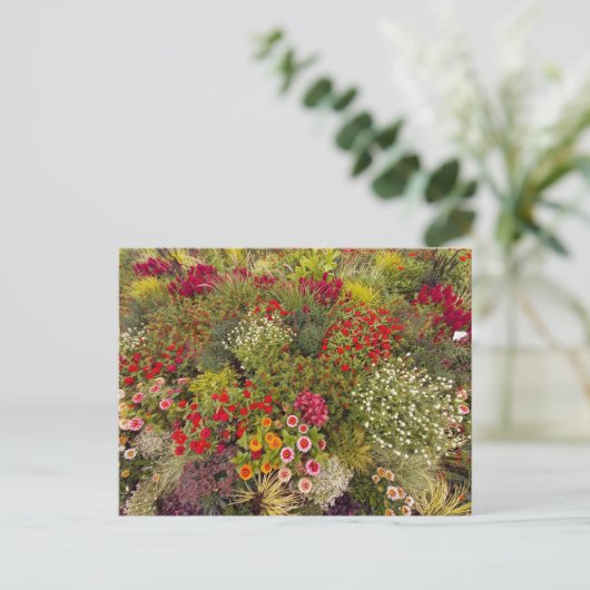 Flower Power - 10 ポストカード (スタンド正面)