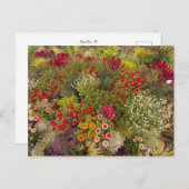 Flower Power - 10 ポストカード (正面/裏面)