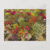 Flower Power - 10 ポストカード (正面)