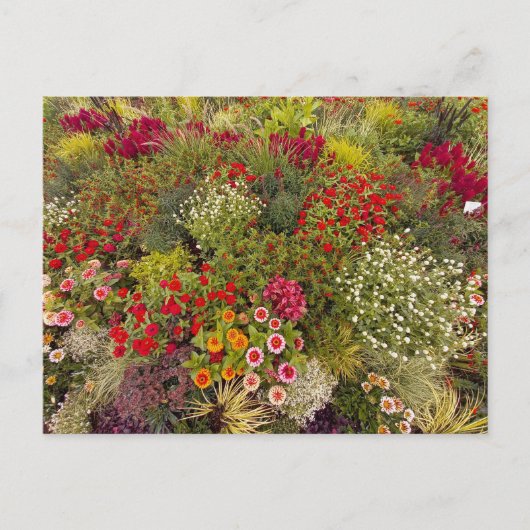 Flower Power - 10 ポストカード (正面)