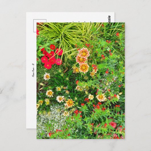 Flower Power - 11 ポストカード (正面/裏面)