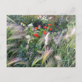 Flower Power - 13 ポストカード