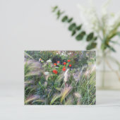 Flower Power - 13 ポストカード (スタンド正面)