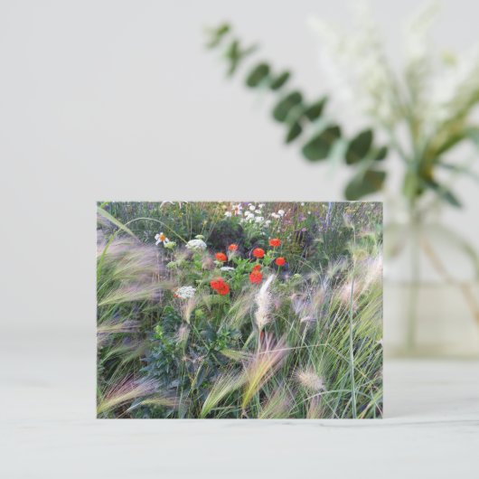 Flower Power - 13 ポストカード (スタンド正面)