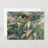Flower Power - 13 ポストカード (正面/裏面)