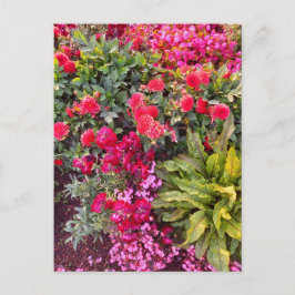 Flower Power - 14 ポストカード