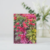 Flower Power - 14 ポストカード (スタンド正面)