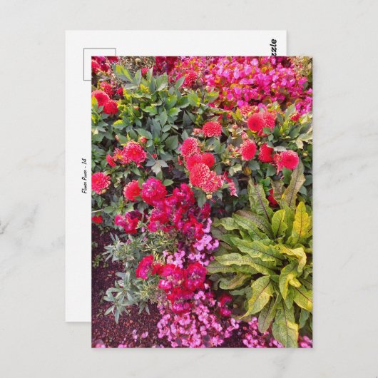 Flower Power - 14 ポストカード (正面/裏面)