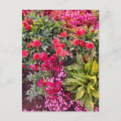 Flower Power - 14 ポストカード (正面)