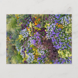 Flower Power - 1 ポストカード