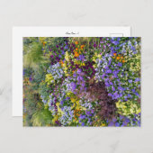 Flower Power - 1 ポストカード (正面/裏面)