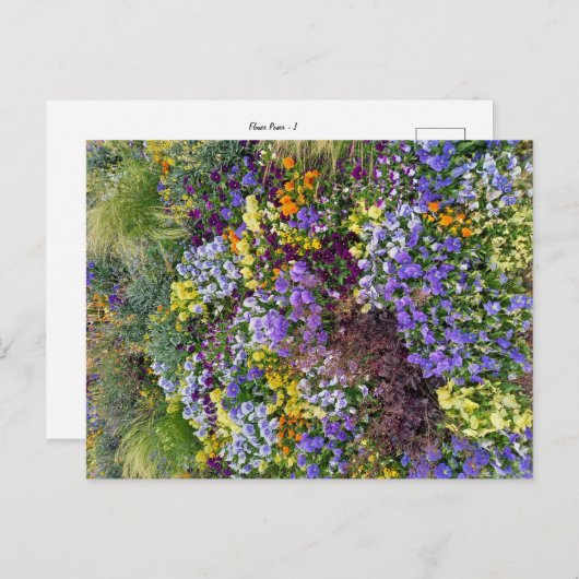 Flower Power - 1 ポストカード (正面/裏面)