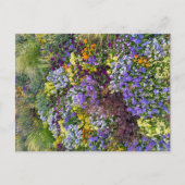 Flower Power - 1 ポストカード (正面)