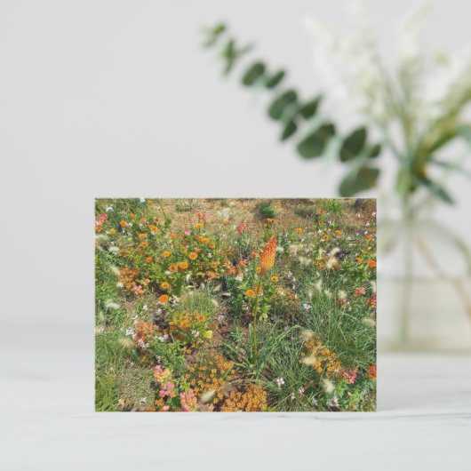 Flower Power - 2 ポストカード (スタンド正面)