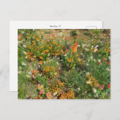 Flower Power - 2 ポストカード (正面/裏面)