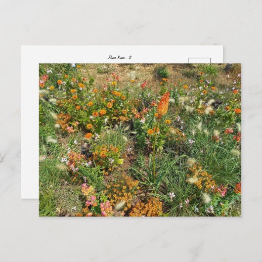 Flower Power - 2 ポストカード (正面/裏面)