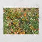 Flower Power - 2 ポストカード (正面)