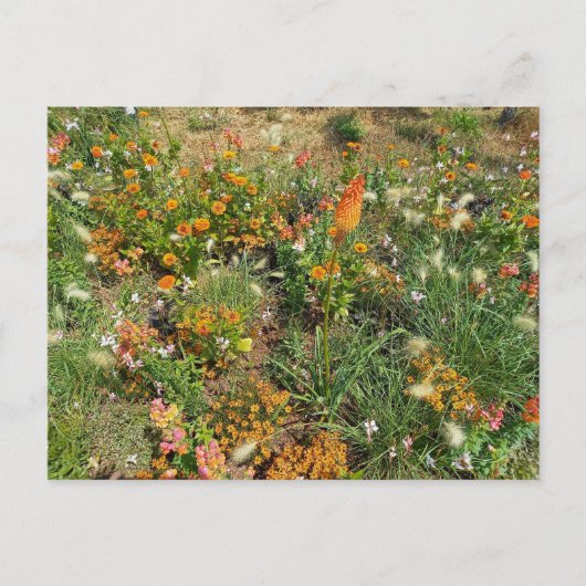 Flower Power - 2 ポストカード (正面)