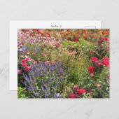 Flower Power - 3 ポストカード (正面/裏面)