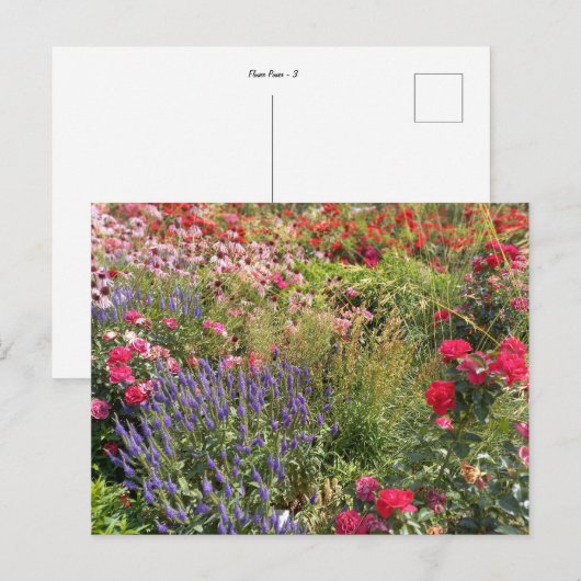 Flower Power - 3 ポストカード (正面/裏面)