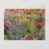 Flower Power - 3 ポストカード (正面)