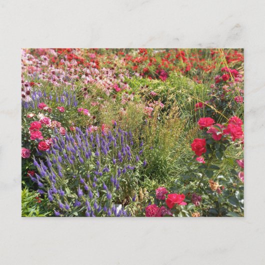 Flower Power - 3 ポストカード (正面)