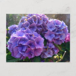 Flower Power 4 ポストカード