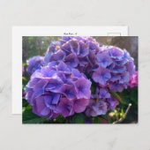 Flower Power 4 ポストカード (正面/裏面)