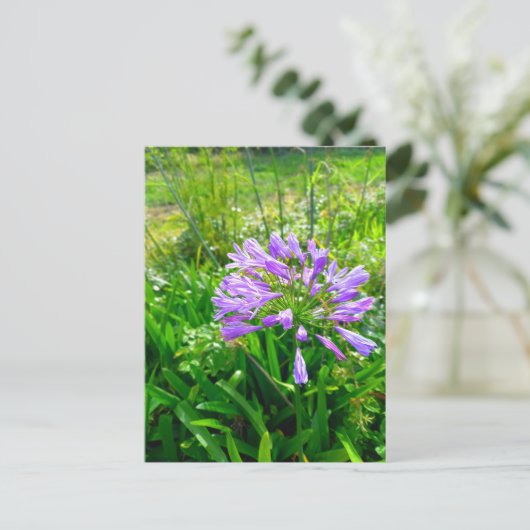 Flower Power - 5 ポストカード (スタンド正面)