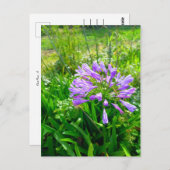 Flower Power - 5 ポストカード (正面/裏面)