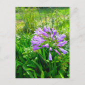 Flower Power - 5 ポストカード (正面)